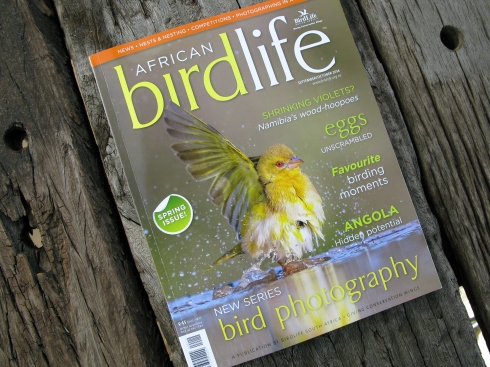 African birdlife Sept / Oct spring issue. Now available